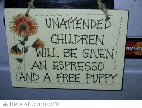 Espresso and Puppies