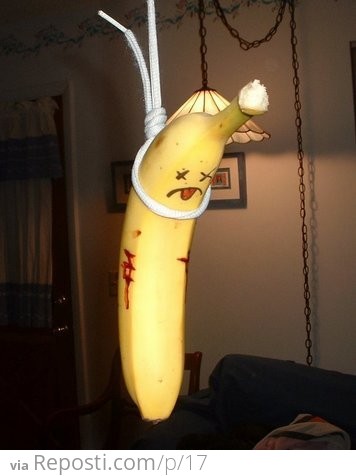 Hanging Banana