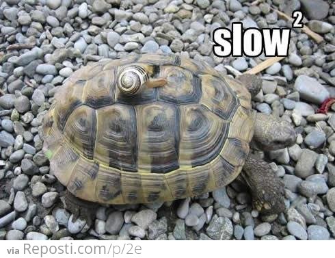 Slow Squared