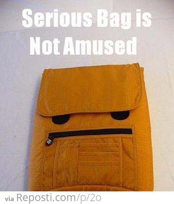 Serious Bag