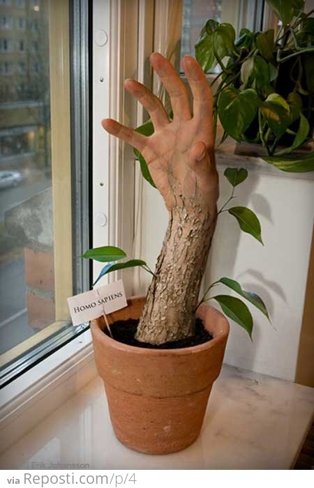 Arm Plant