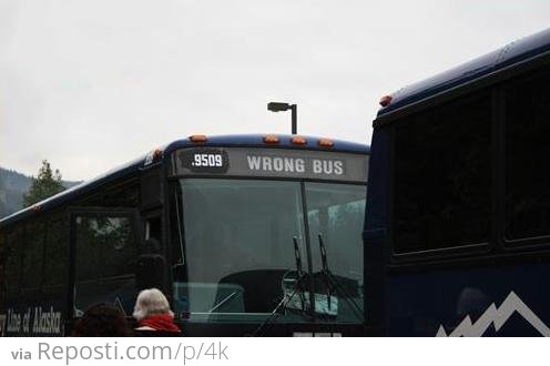 Wrong Bus
