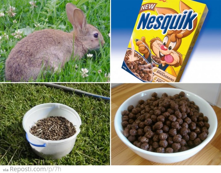 Nesquik Is Rabbit Poo