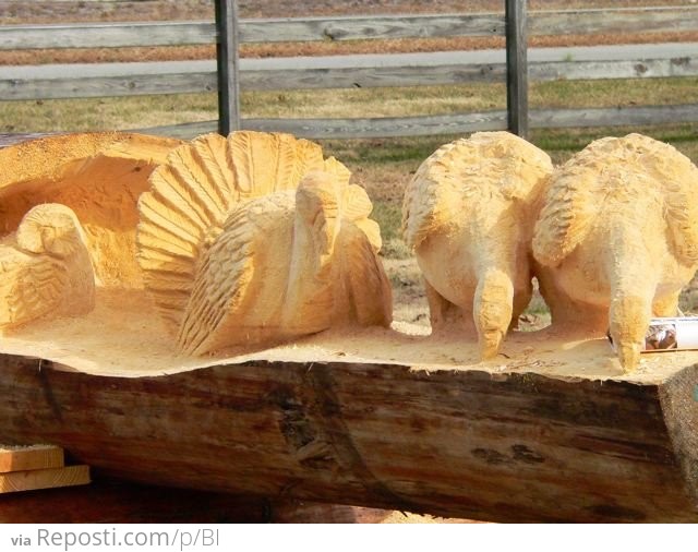 Wood Carved Statues