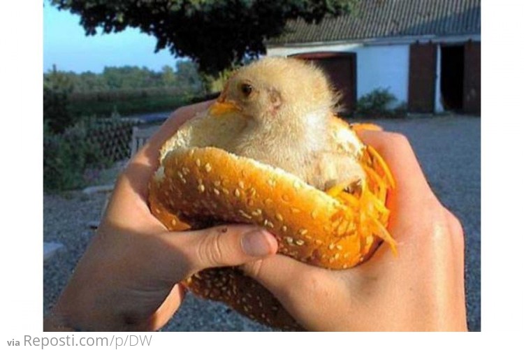 Baby Chickenburger