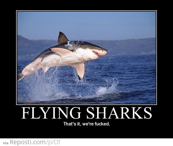 Flying Sharks