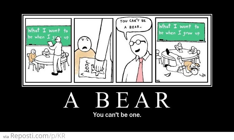 A Bear