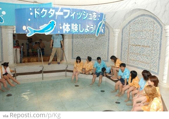 Japanese Spa Industry
