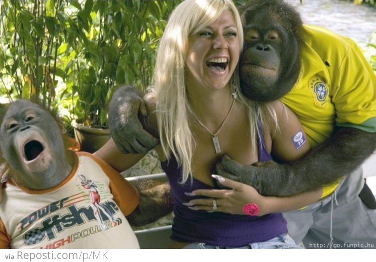 Horny Orangutan