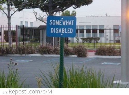 Somewhat Disabled