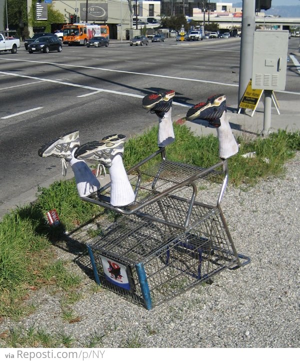 Shopping Cart With Feet