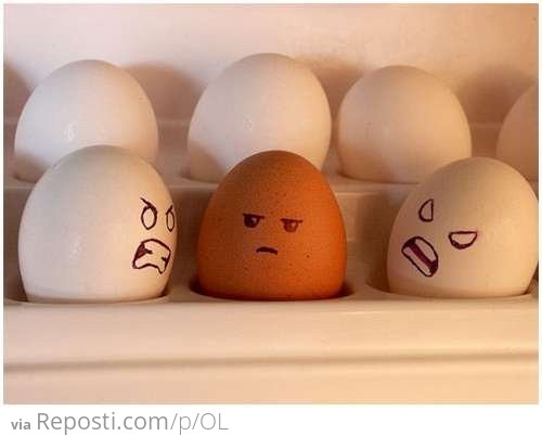 Angry Racist Eggs