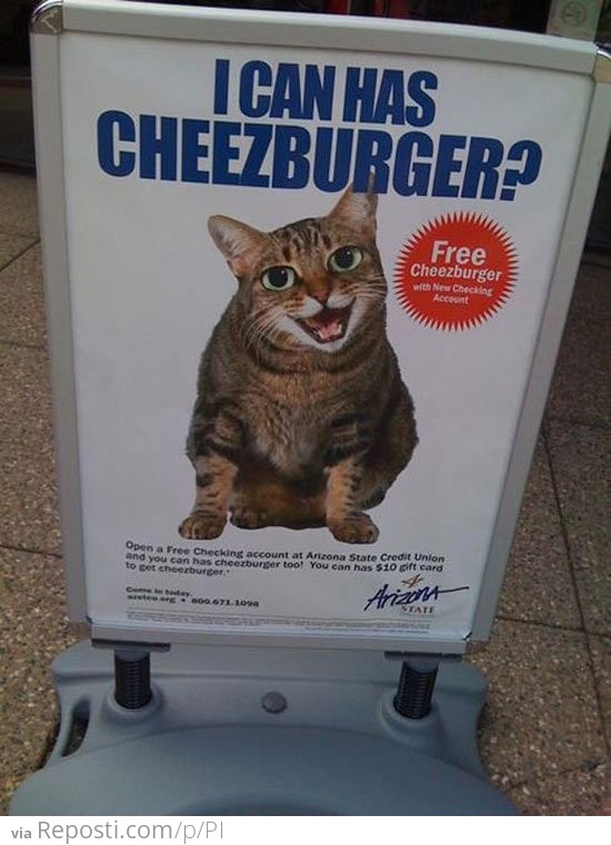 I Can Has Cheeseburger?