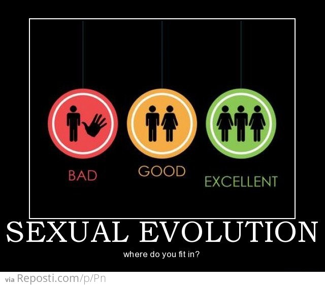 Sexual Evolution