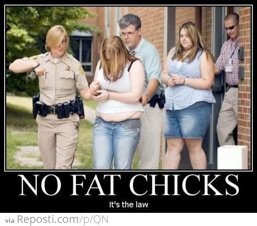 No Fat Chicks