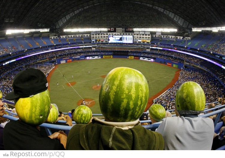 Watermelon Helmets