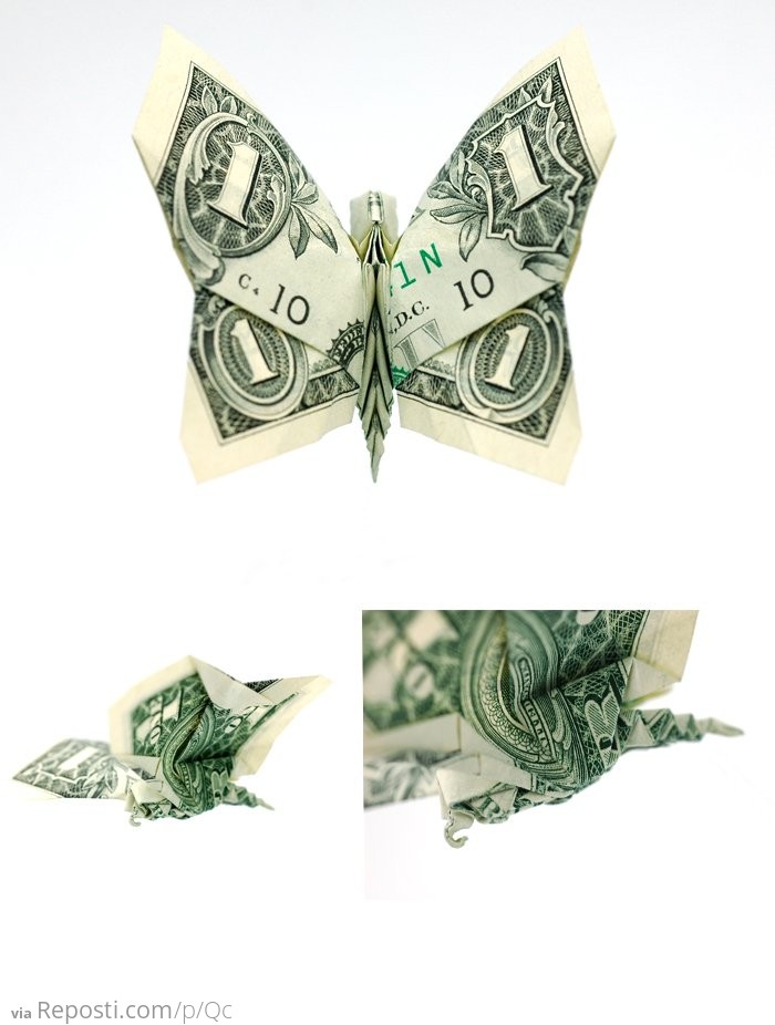 One Dollar Bill Butterfly