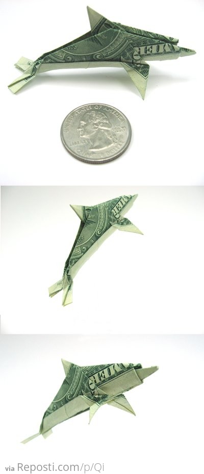One Dollar Bill Dolphin