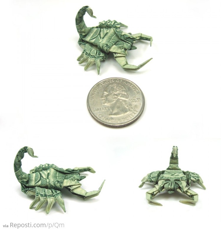 One Dollar Bill Scorpion