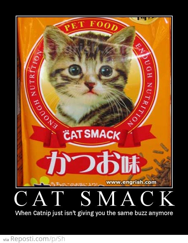 Cat Smack
