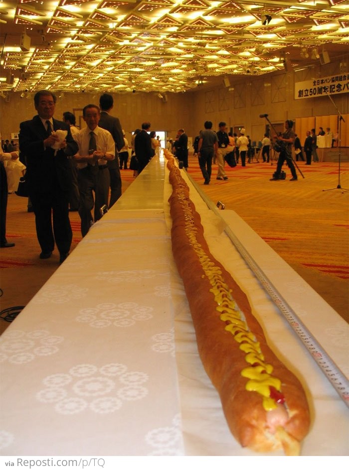 World's Longest Hot Dog