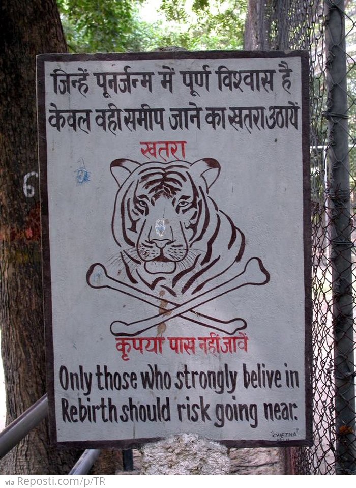 Tiger Rebirth Sign
