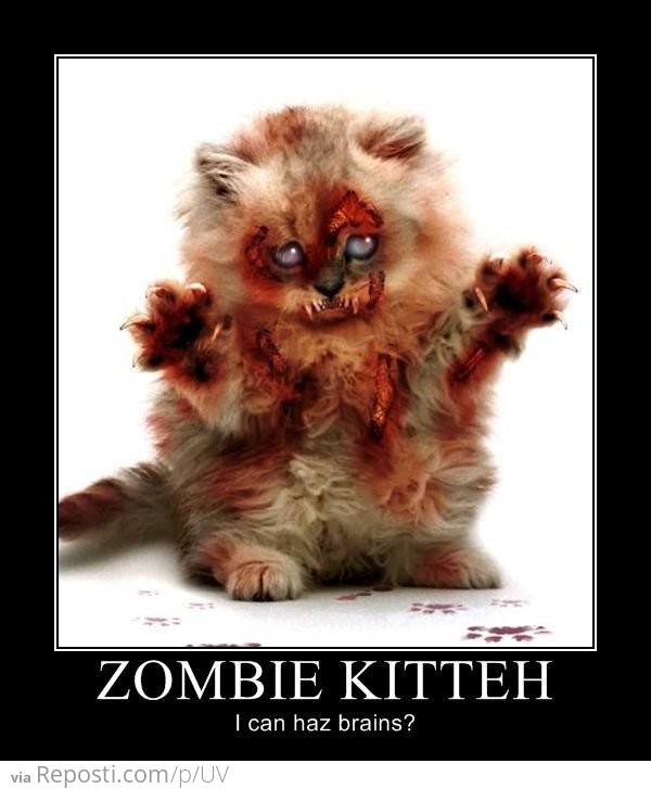 Zombie Kitteh
