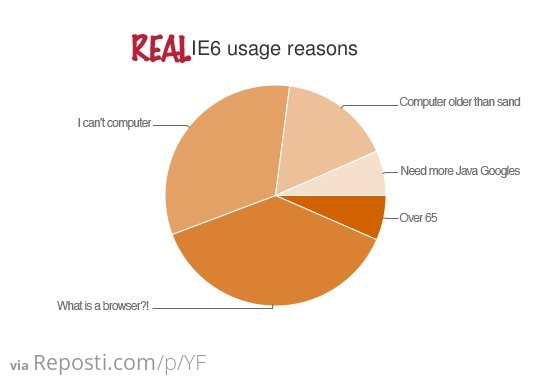 Real IE6 Usage Reasons