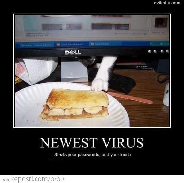 Newest Virus