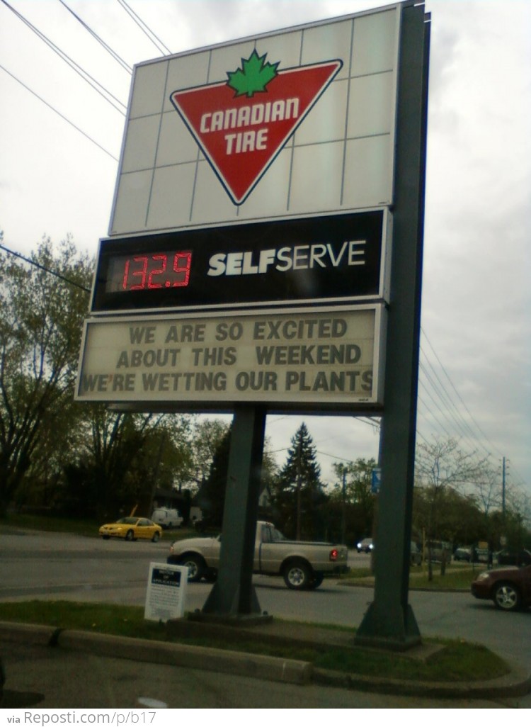 Canadian Tire Is Excited!