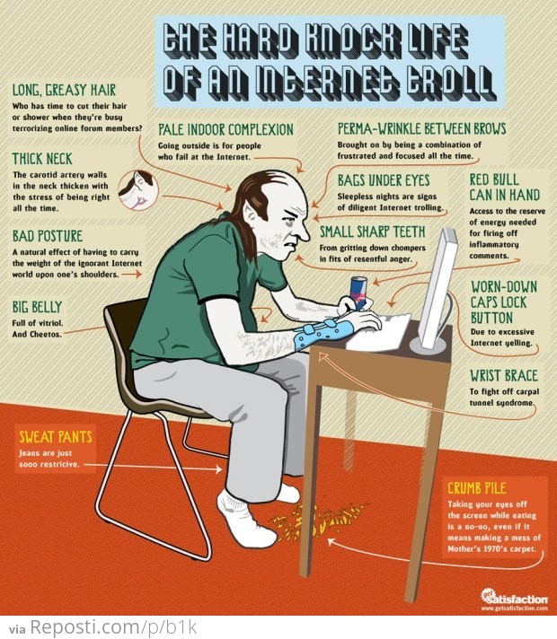 Anatomy of Internet Trolls