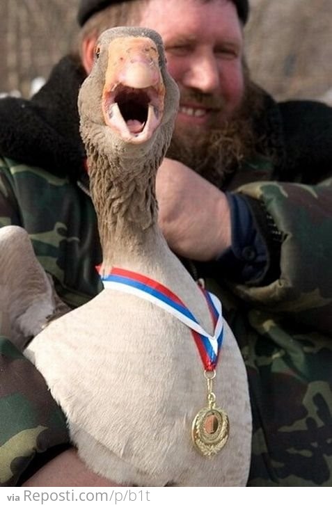 Give that duck a medal