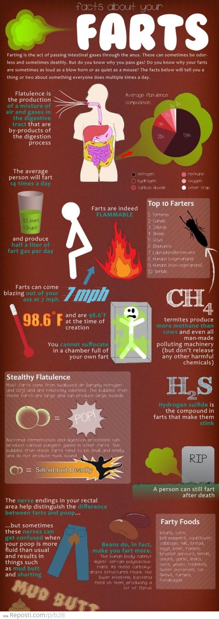 Facts About Farts