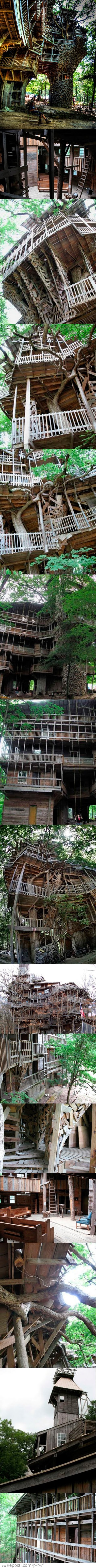 The Minister's Tree House