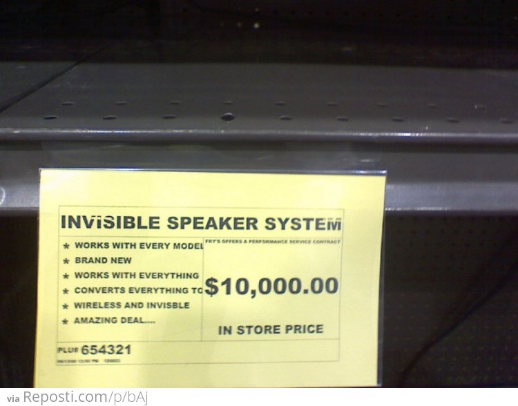 Invisible Speaker System