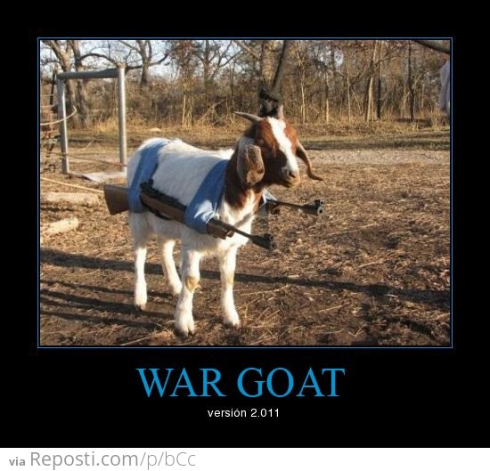 War Goat
