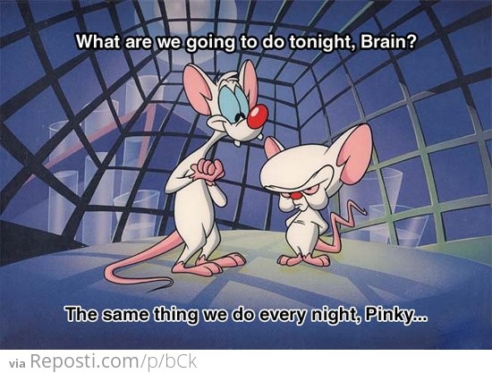 What Are We Going To Do Tonight, Brain?