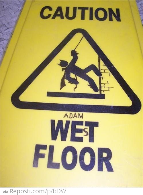 Adam West's Floor