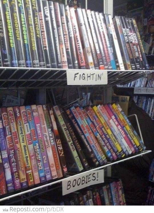 Movie Store Sections