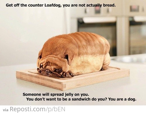 Loafdog