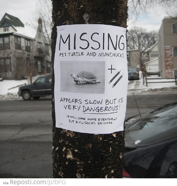 Missing - Turtle and Nunchucks