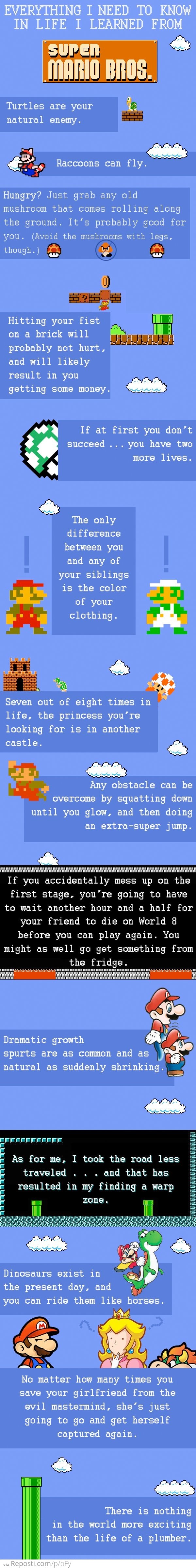 What I've Learned From Mario