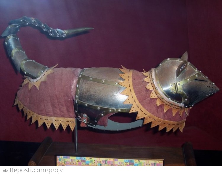 Cat Armor