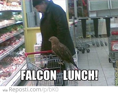Falcon Lunch!