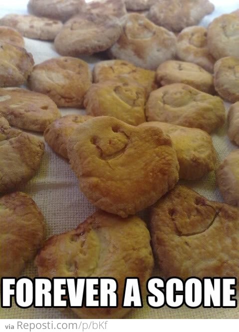 Forever A Scone