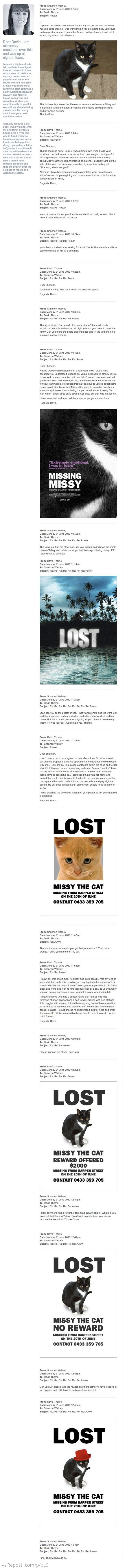 Missy The Missing Cat