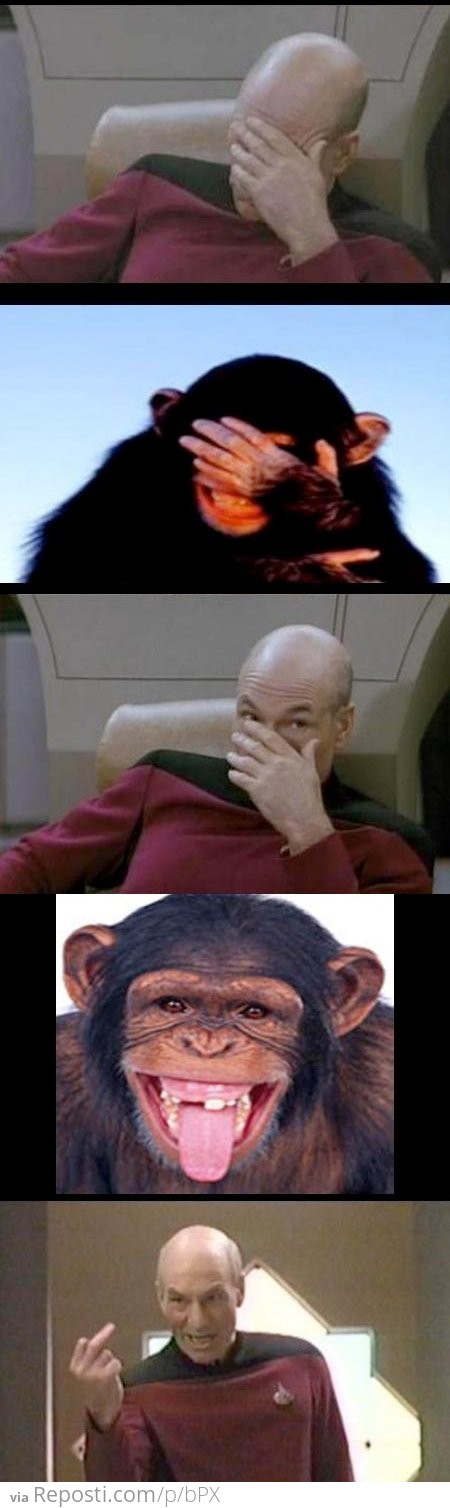 Picard vs Chimp
