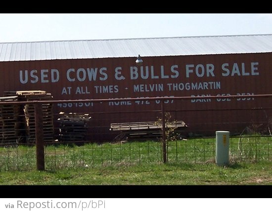 Used Cows & Bulls