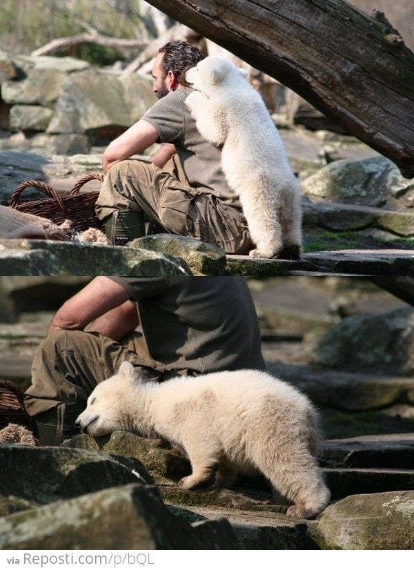 Polar Bear & Keeper