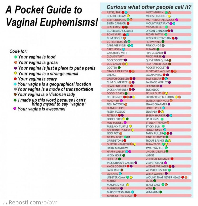 Vaginal Euphemisms Pocket Guide